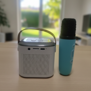 Wireless Portable Speaker With Microphone